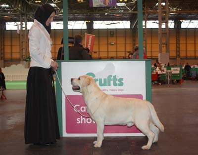 08-11.03.2012. CRUFTS  .    - class open